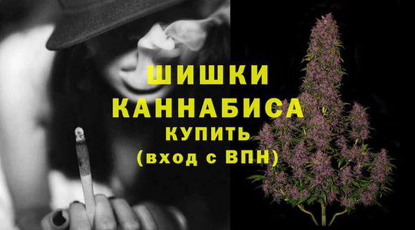 шишки Богородск