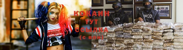 гидропоника Алагир
