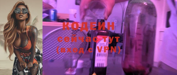 шишки Богородск