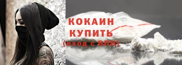 apvp Богородицк