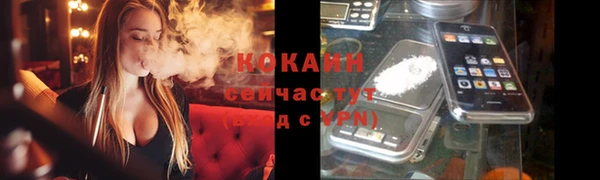 шишки Богородск
