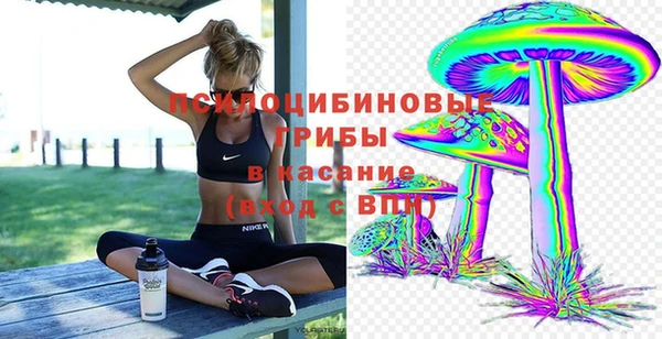 шишки Богородск