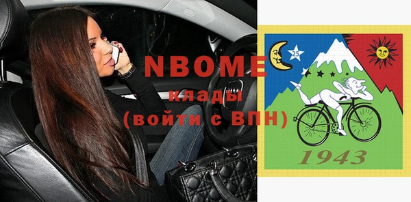 шишки Богородск