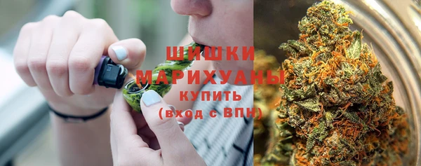 apvp Богородицк