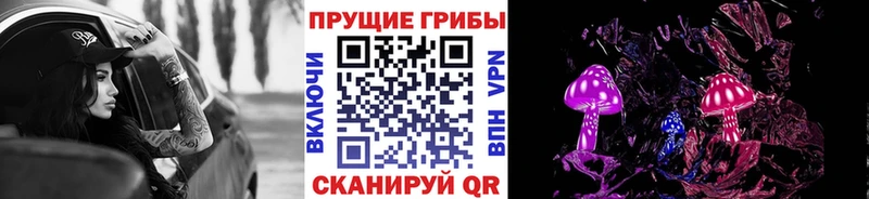 Псилоцибиновые грибы GOLDEN TEACHER  где купить наркоту  Дигора 